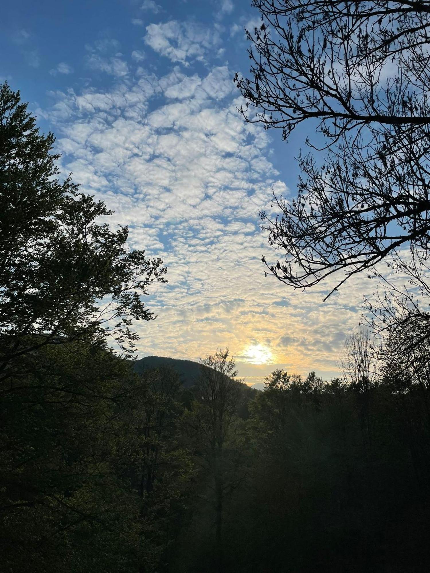 Giulio Mountain B&B 알라 외부 사진
